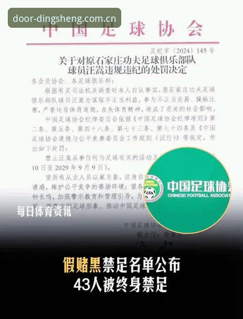 鼎盛平台登录地址安装教程 足协公布第三批禁足名单,哪些人上了黑名单?详解鼎盛平台用户的观赛思考